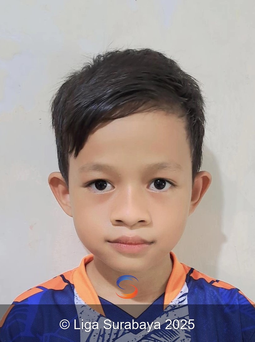 IBRAHIMOVIC AUFA HARDIYANTO 